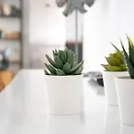 Rurales Apartment *