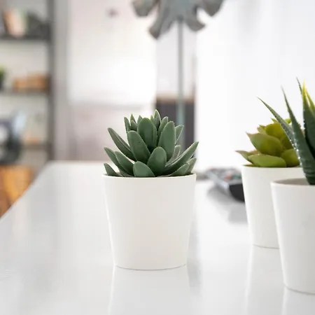 Rurales Apartamento *