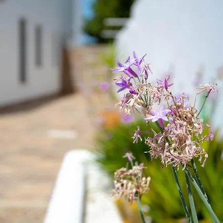 Rurales Apartamento Conil De La Frontera