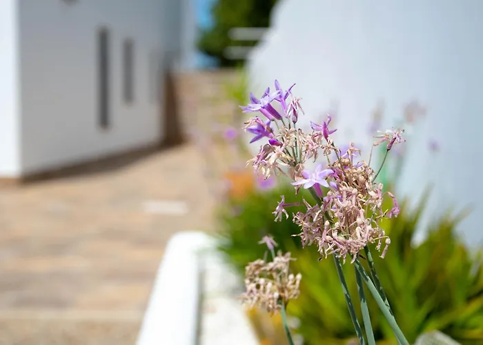 Rurales Apartamento Conil De La Frontera